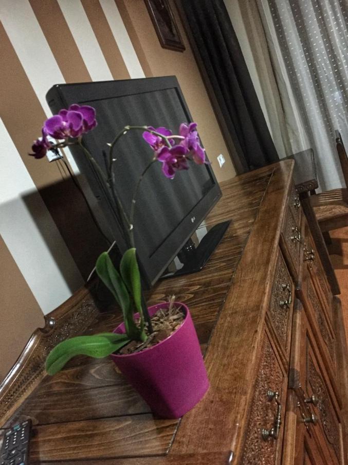 奥阿扎酒店 科尼茨 外观 照片